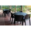 Silla Paris Mascardi Negra
