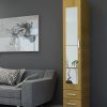 Placard Premium 1 puerta con ESPEJOS y CERRADURA